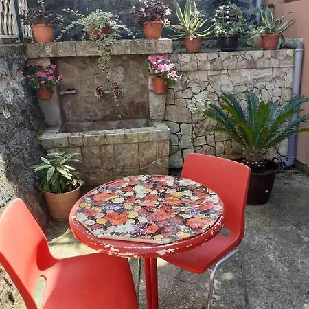 Samardzic Apartmán