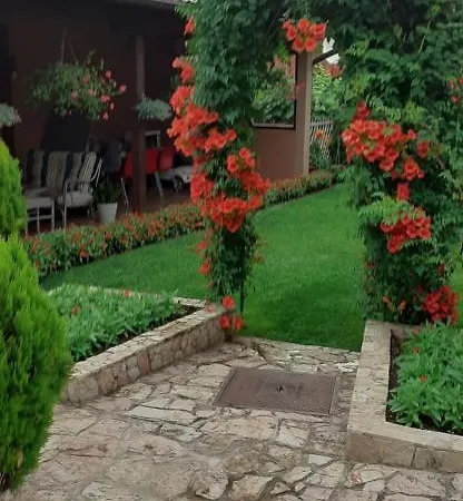 Samardzic Apartment